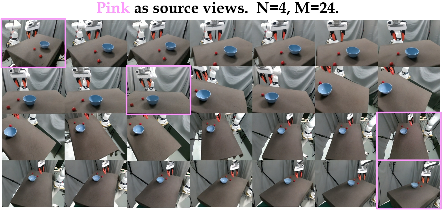 Real-world multi-view diffusion